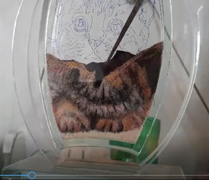 Recreate Your Cat's Photo into a Sand Portrait (One Face (Small Size))