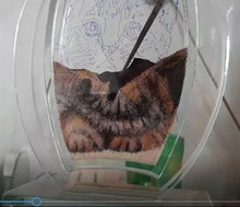 Load image into Gallery viewer, Recreate Your Cat&#39;s Photo into a Sand Portrait (One Face (Small Size))