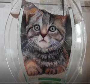 Recreate Your Cat's Photo into a Sand Portrait (One Face (Small Size))