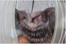 Load image into Gallery viewer, Recreate Your Cat&#39;s Photo into a Sand Portrait (One Face (Small Size))