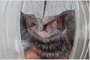 Recreate Your Cat's Photo into a Sand Portrait (One Face (Small Size))