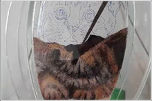 Load image into Gallery viewer, Recreate Your Cat&#39;s Photo into a Sand Portrait (One Face (Small Size))