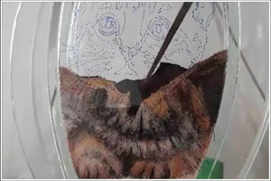 Recreate Your Cat's Photo into a Sand Portrait (One Face (Small Size))