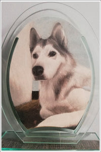 Recreate Your Dog's Photo into a Sand Portrait (One Face (Regular Size))